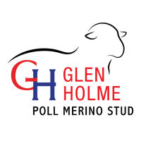 Glen-Holme-Poll-Merino-Stud-web