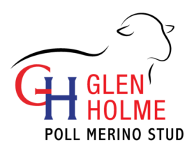 Glen Holme Poll Merino Stud